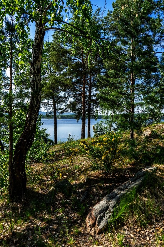 Photograph by Анастасия Глазюк