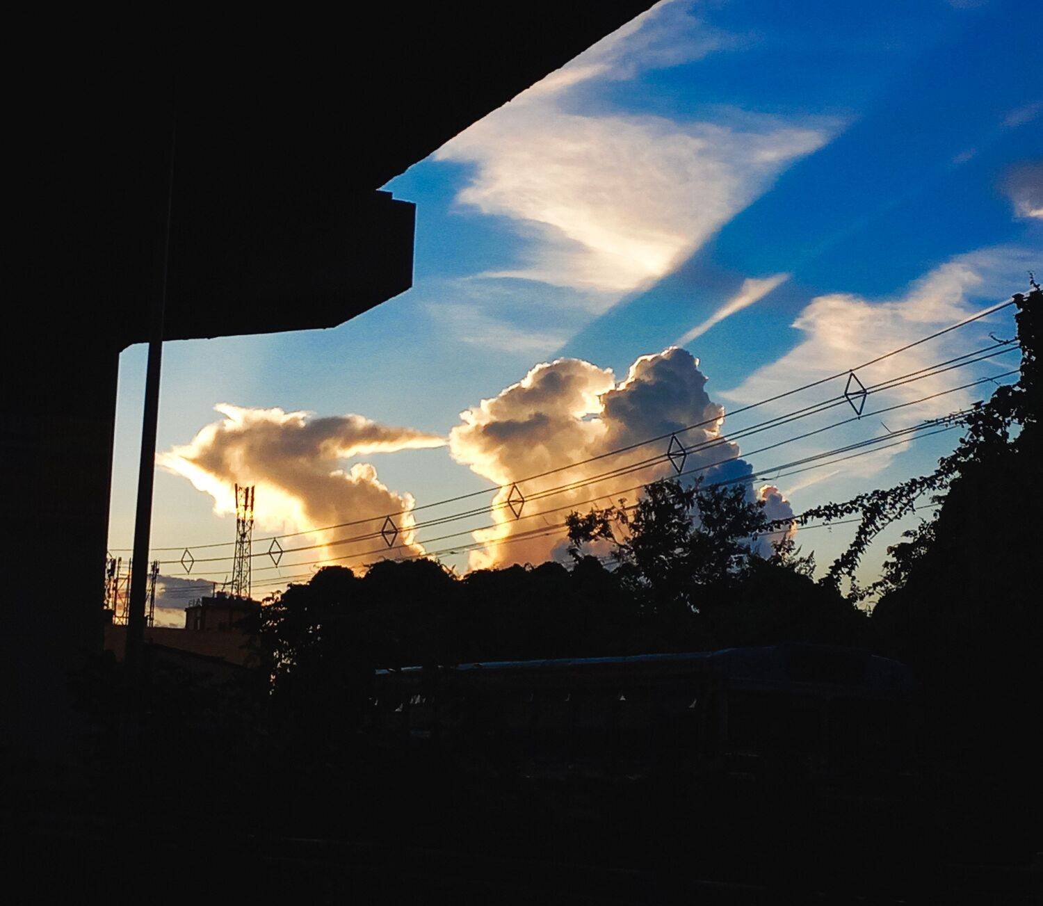 Camel in the Clouds