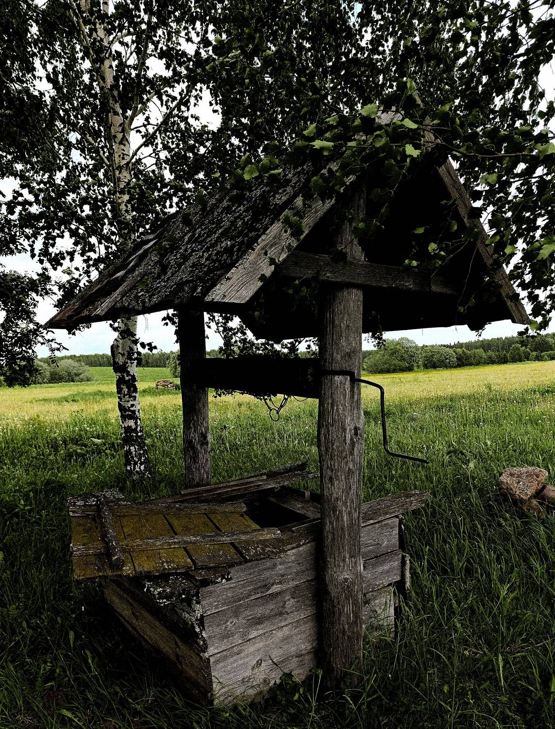 Это все, моё, родное! Это Родина, моя!