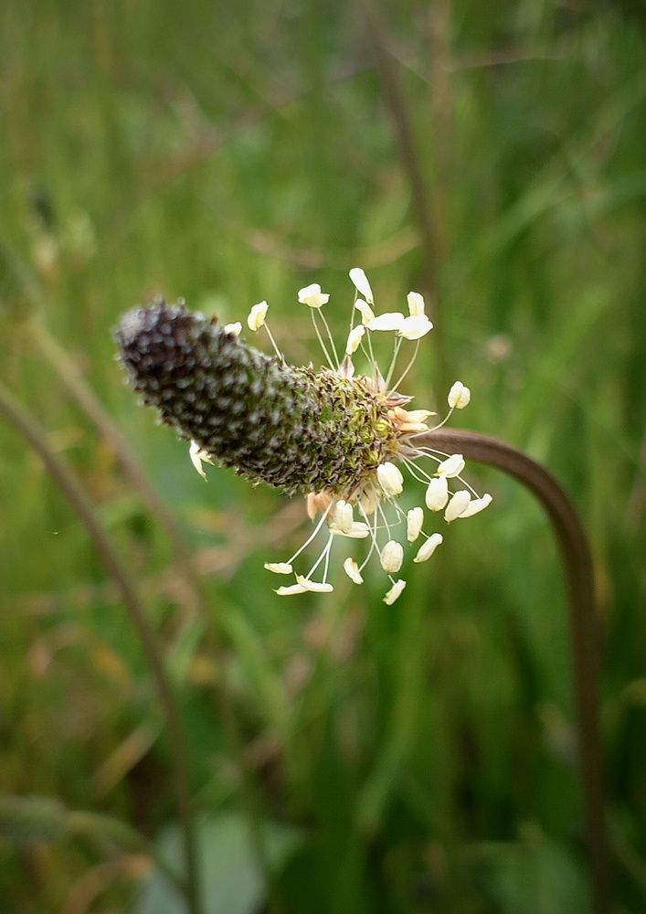 Photograph by Ольга Куцева