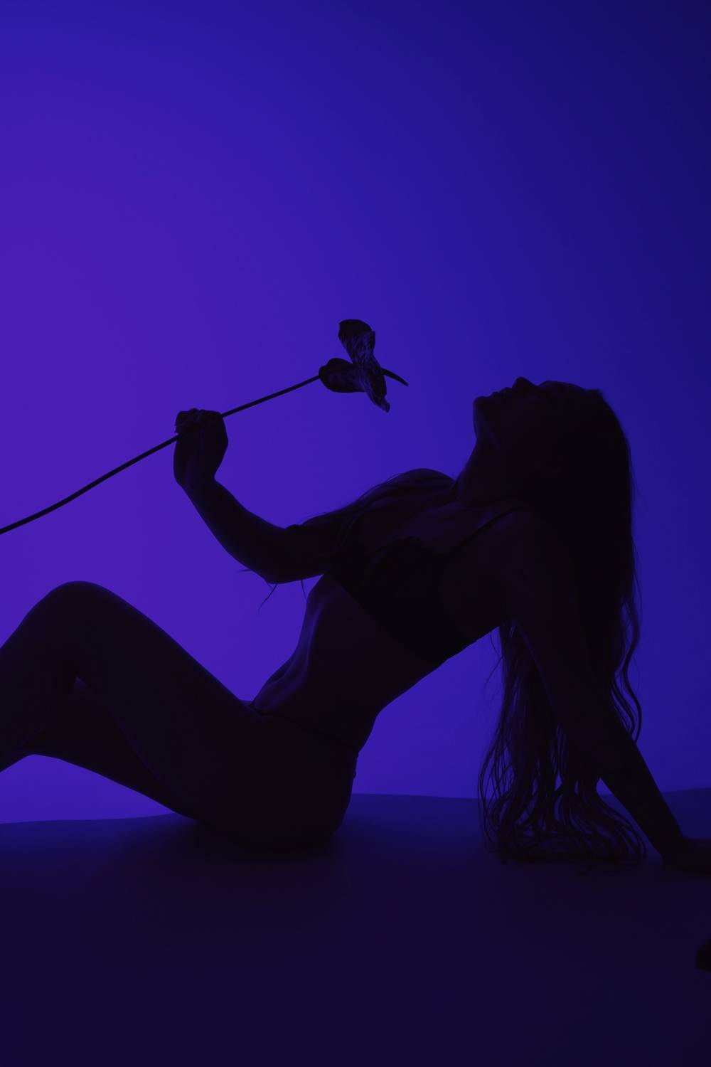 Blue Velvet