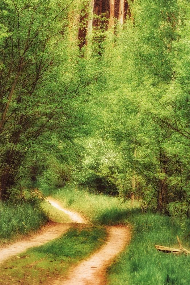 Photograph by Юлизабет