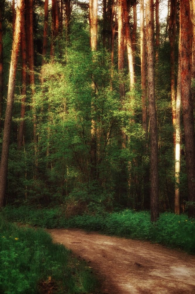 Photograph by Юлизабет