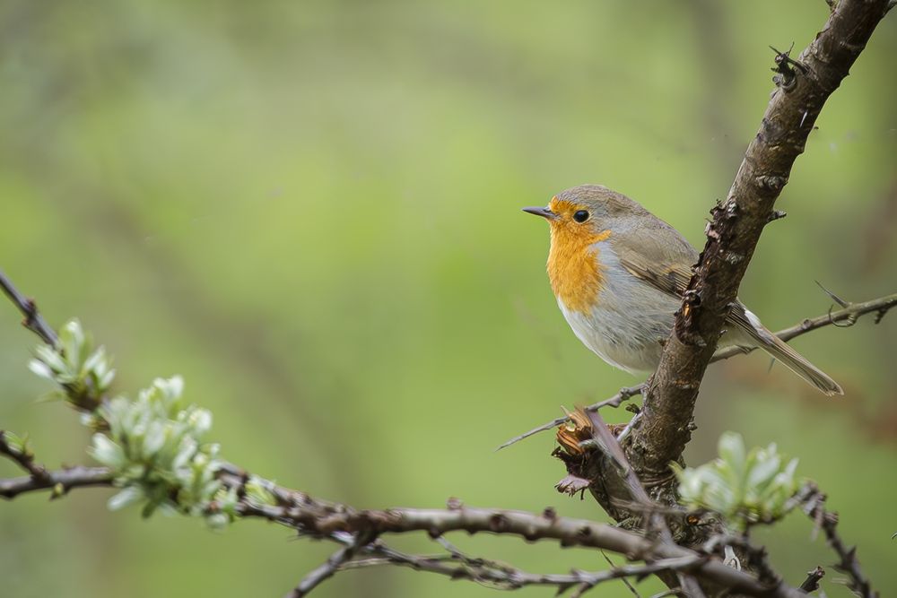 Photograph by Alexei Kriptozoy