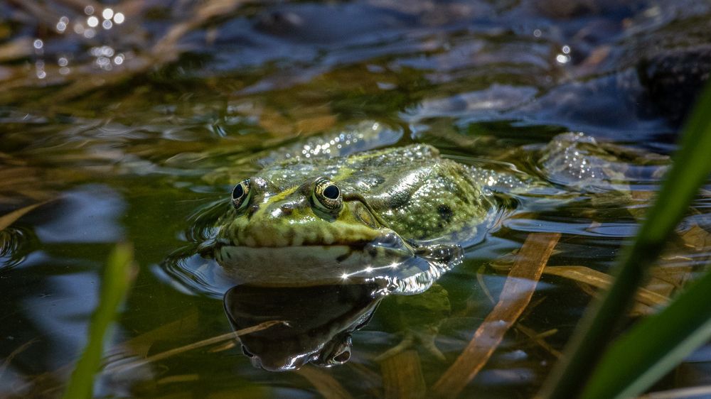 Photograph by Игорь Криулин