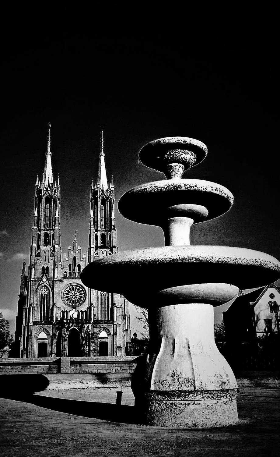 Echoes of Time