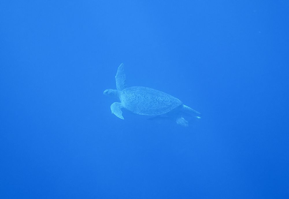Photograph by Александр