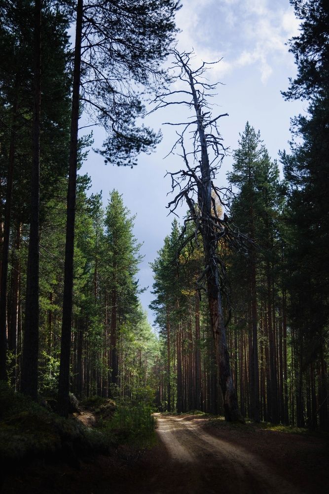 Photo #13597675