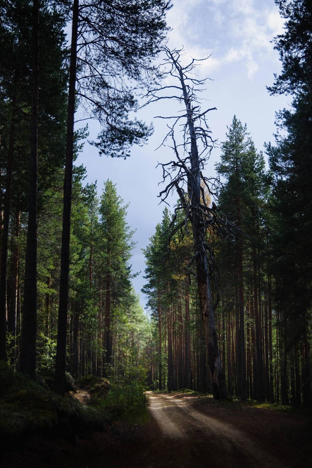 Photo #13597675