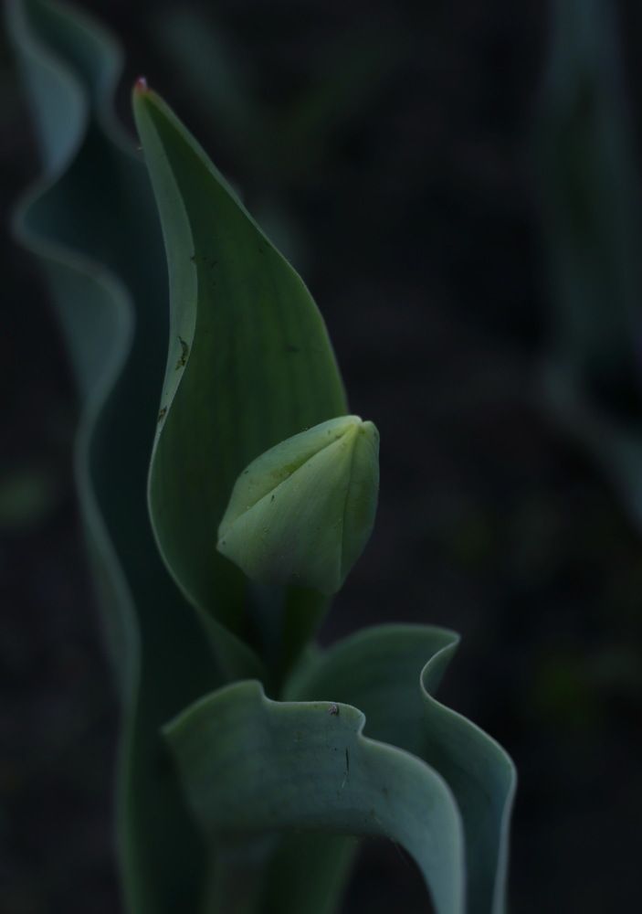 Photograph by София Волкова