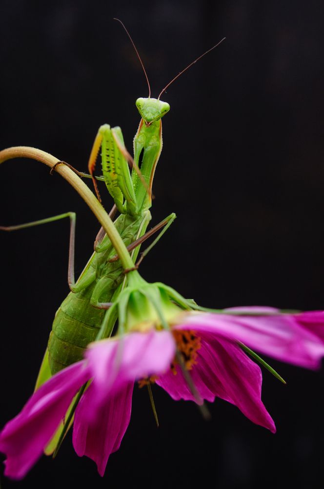 Photograph by Светлана Щемелева