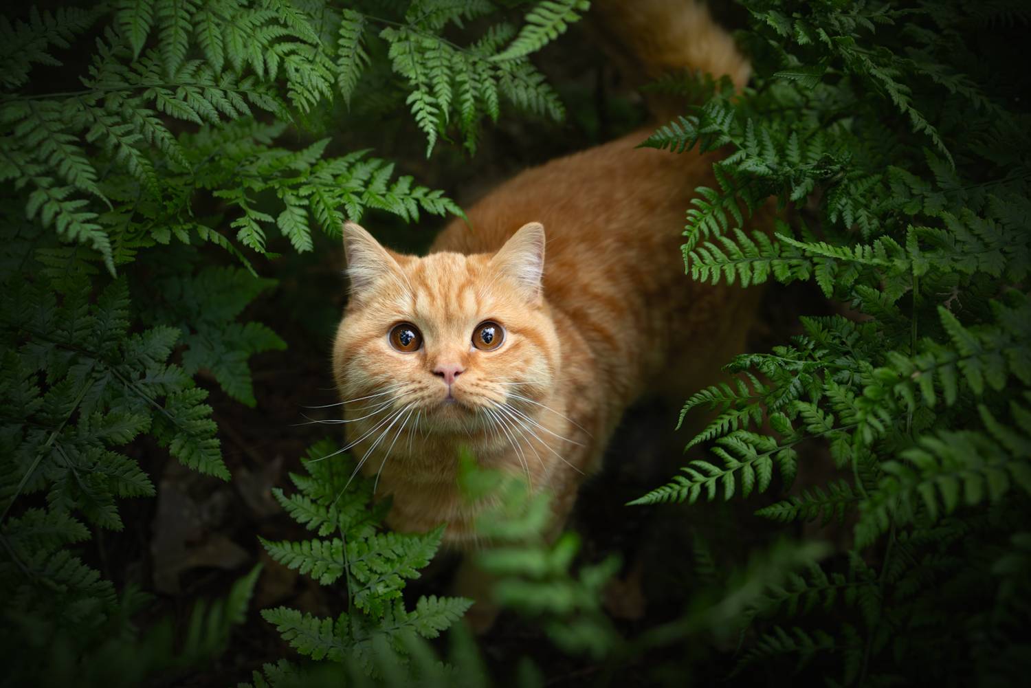 Looking for me?