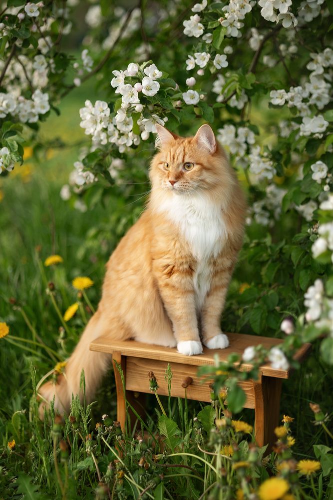 Photograph by Елена Косинова