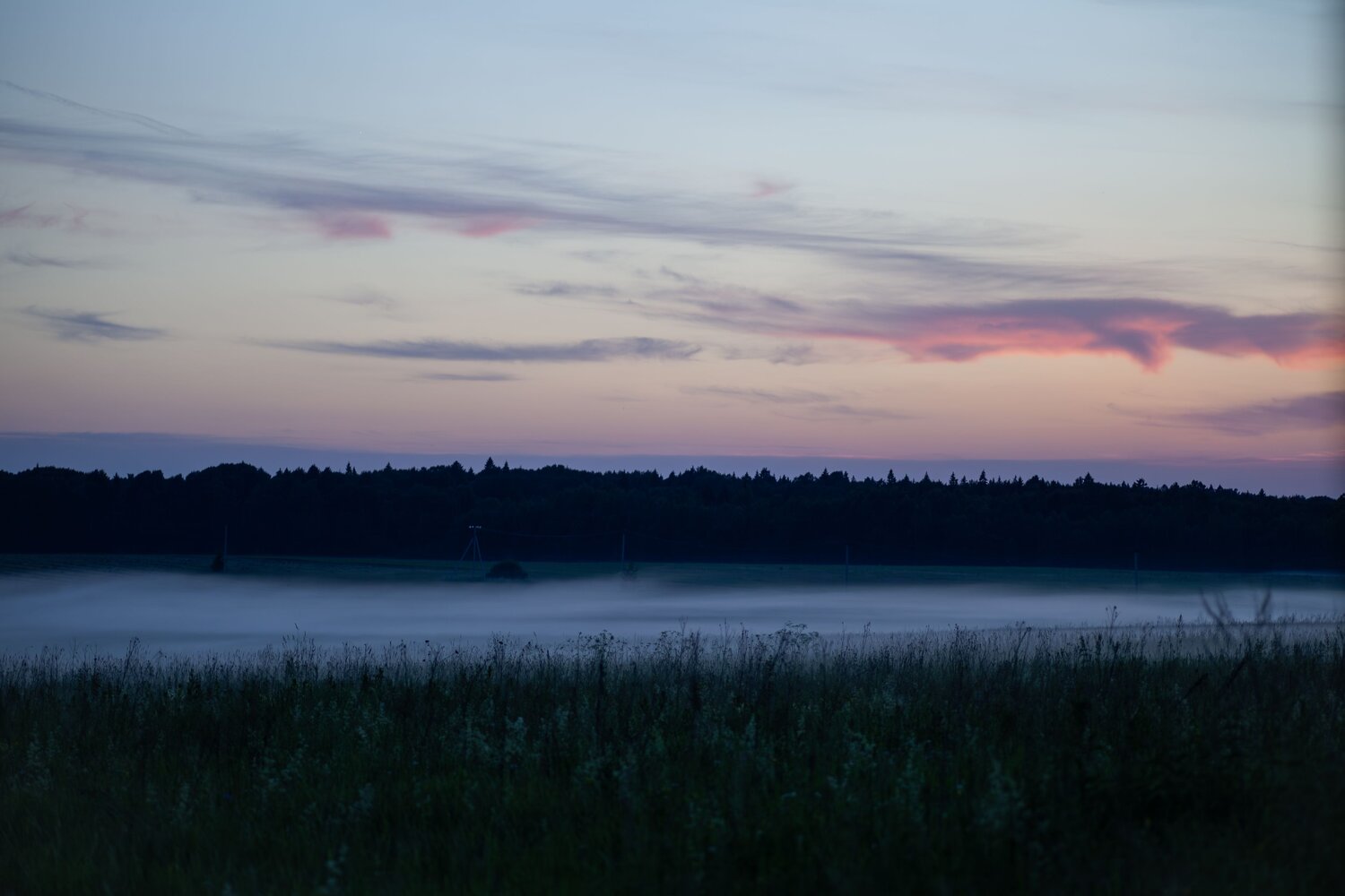 Photo #13597821