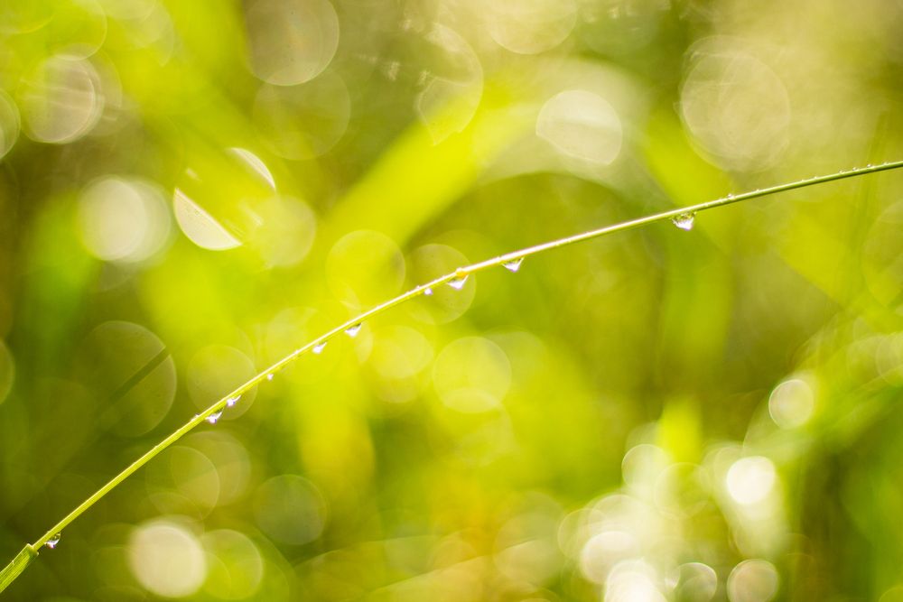 Photograph by Ирина Иванова