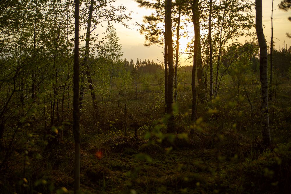 Photograph by Дарья Улюсова