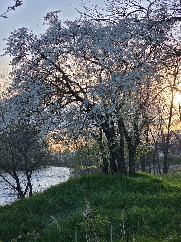 Photograph by Аня Белозерова