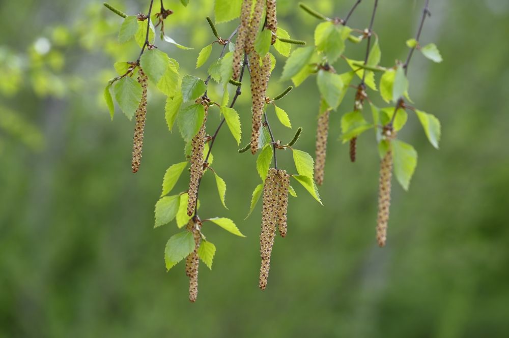 Photograph by Ольга Воронова