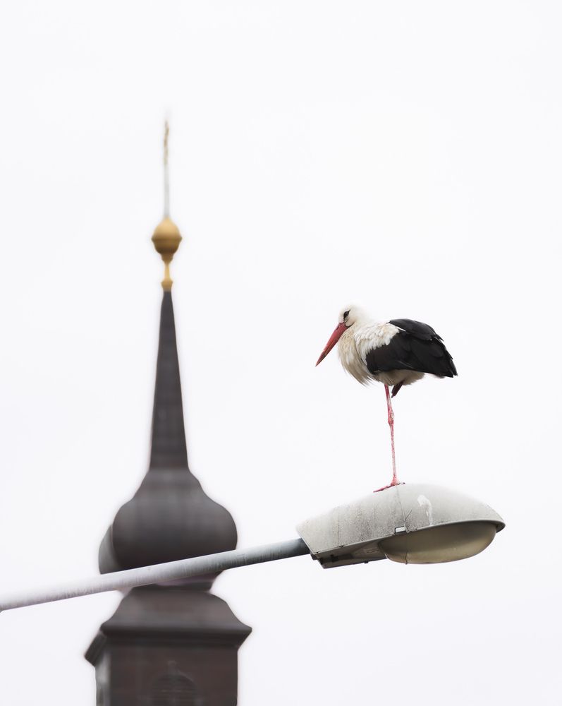Photograph by Nagy Orsi