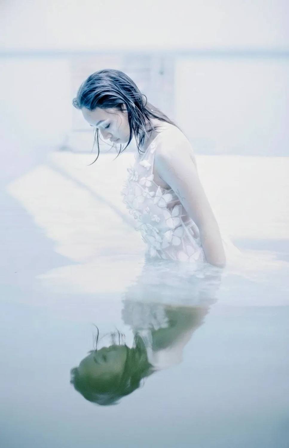 The Silent Reflection