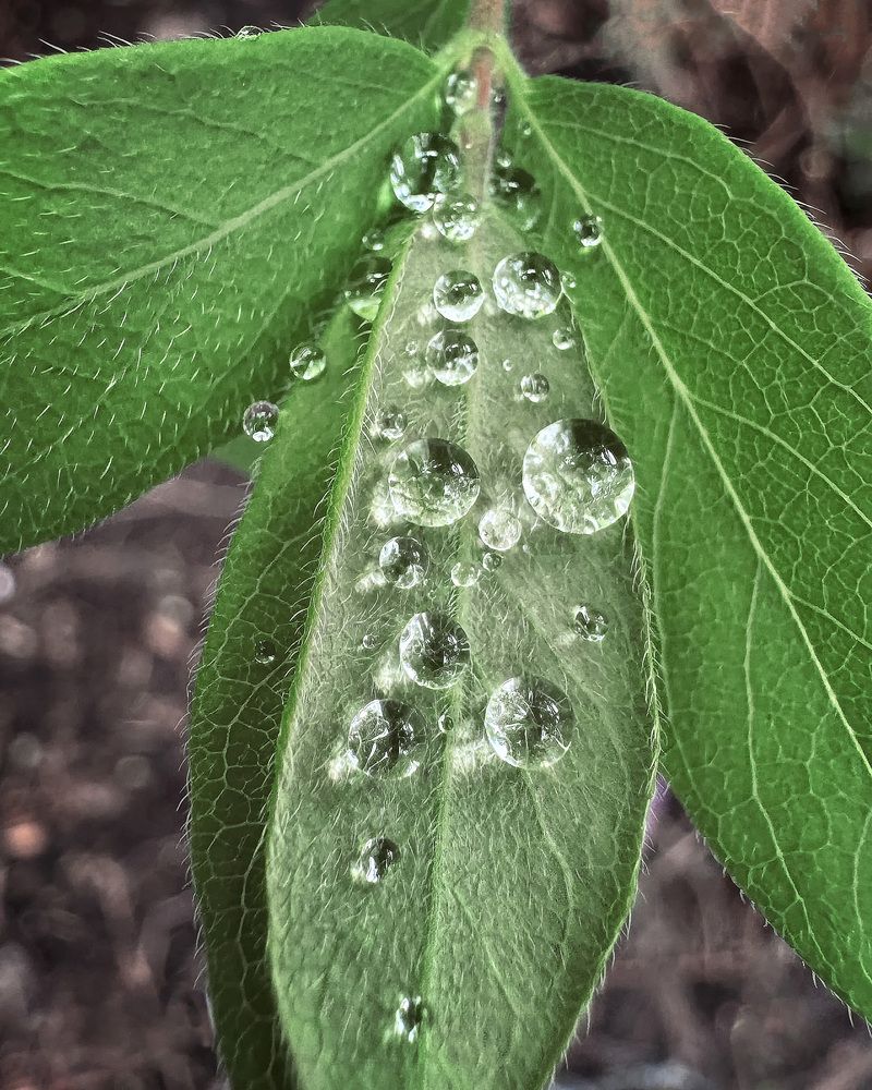 Photograph by Ольга Потачева