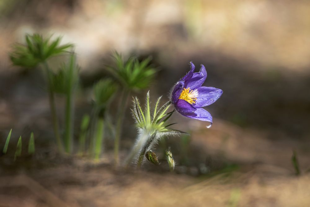 Photograph by Елена Соколова
