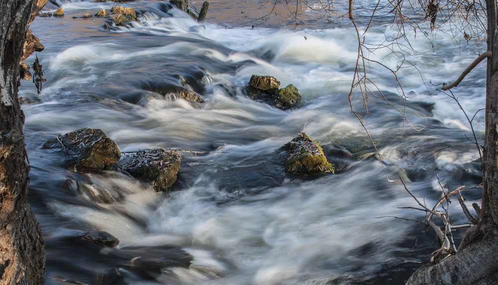 Photograph by Николай Кузьмин