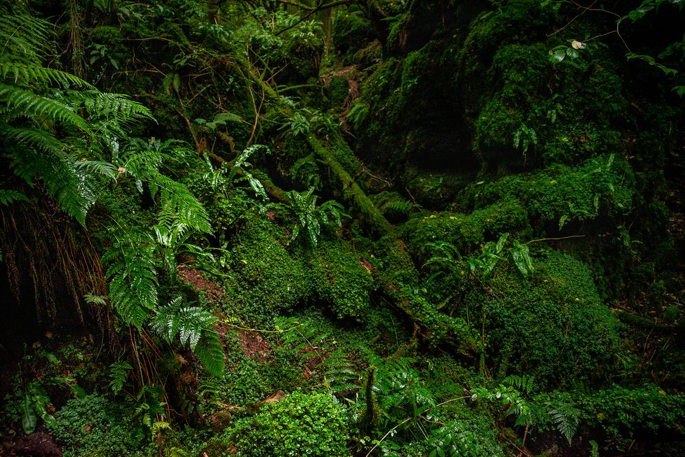 Photograph by Dace Spalvina