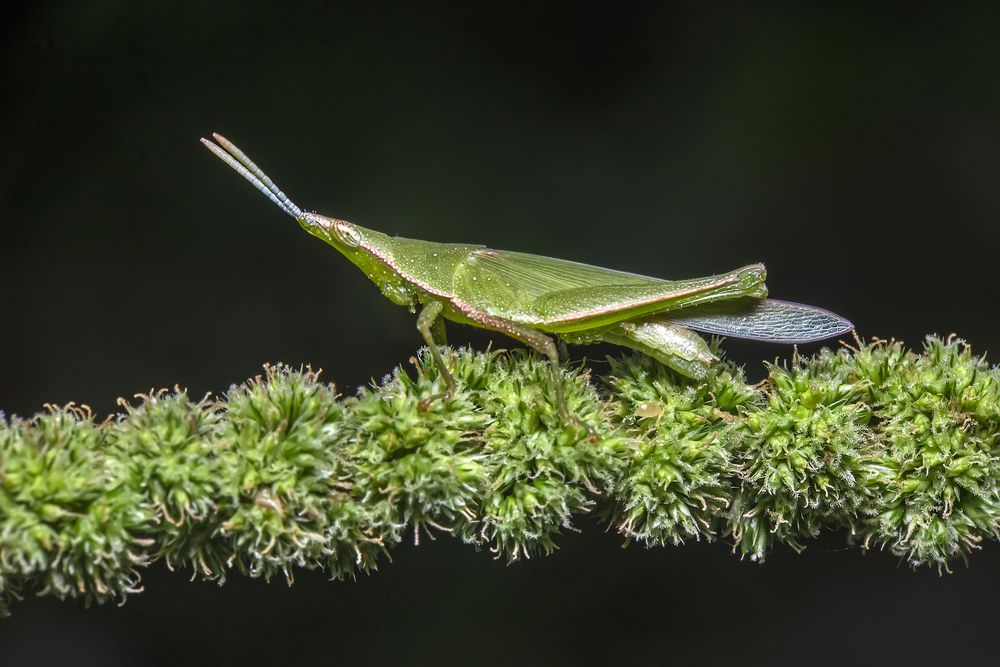 Photograph by NeCoTi ChonTin