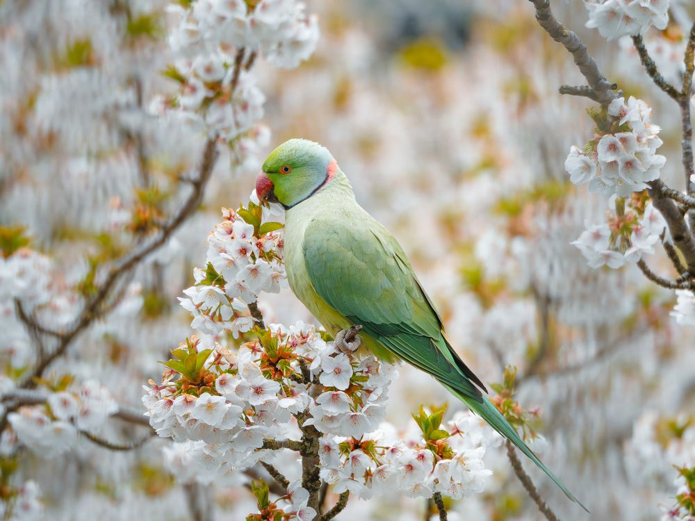 Photograph by Ирина Протченко