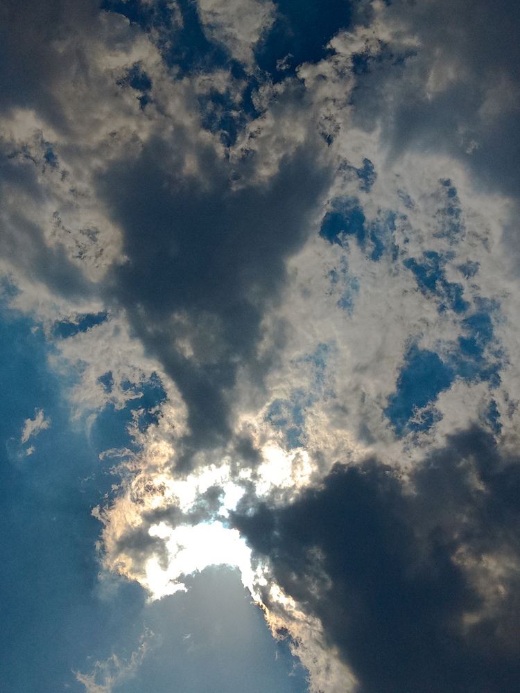 Photo #13598048