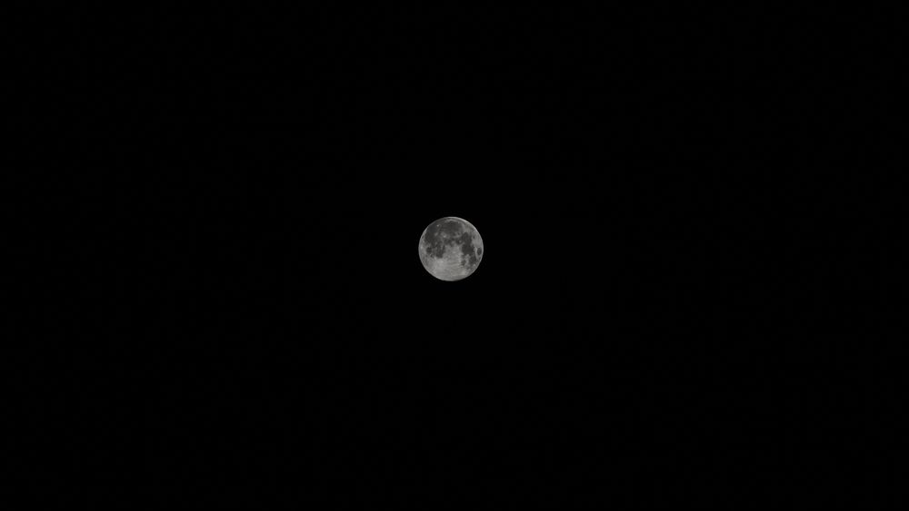 Photograph by Злата Новикова