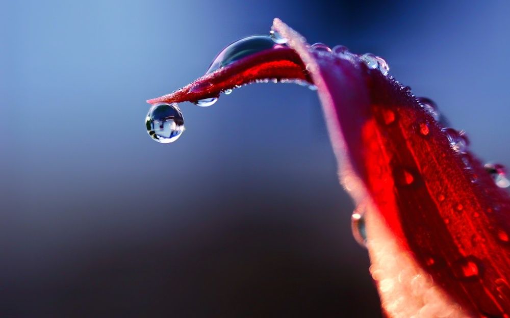 Photograph by Pheap Sophinh