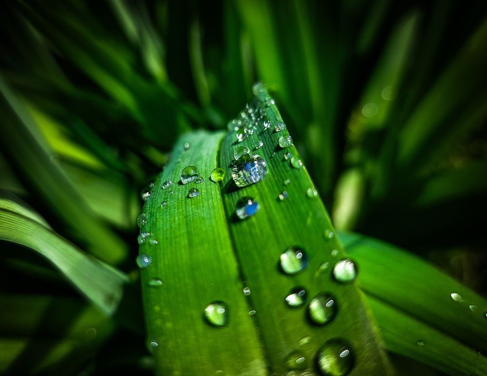 Photograph by Виталий Петров