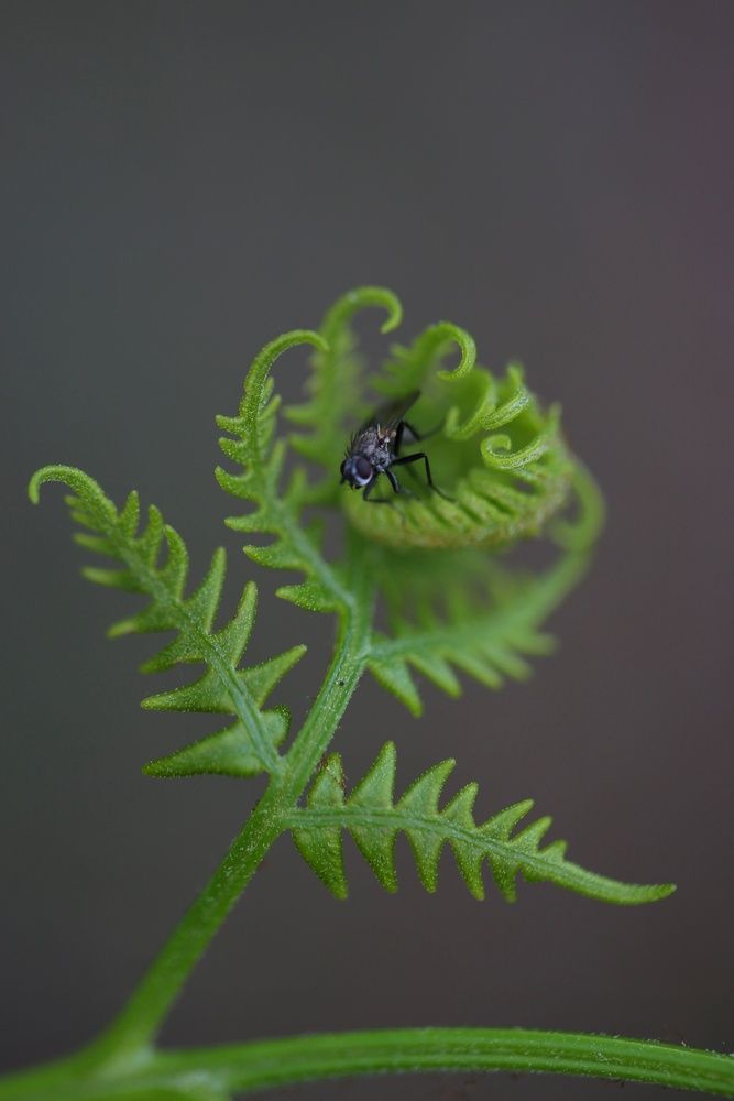 Photograph by Leanid Kulpo