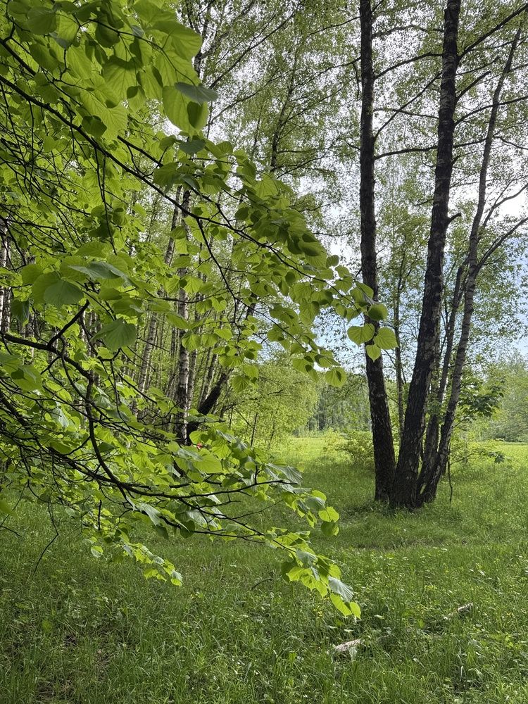 Фотография автора Галина Санчирова