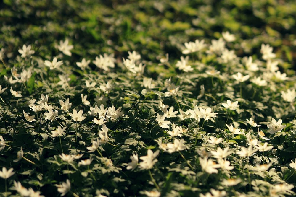 Photograph by Светлана Герасимчук