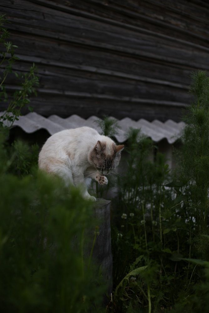 Photograph by Валерия Романова