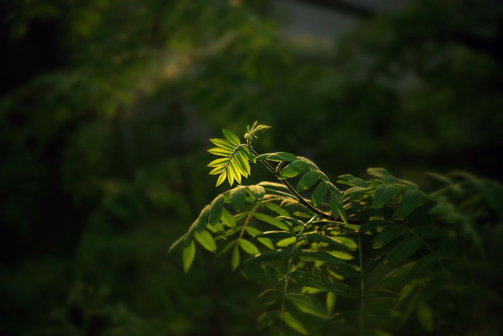 Photograph by Vitaliy Saposhnikov