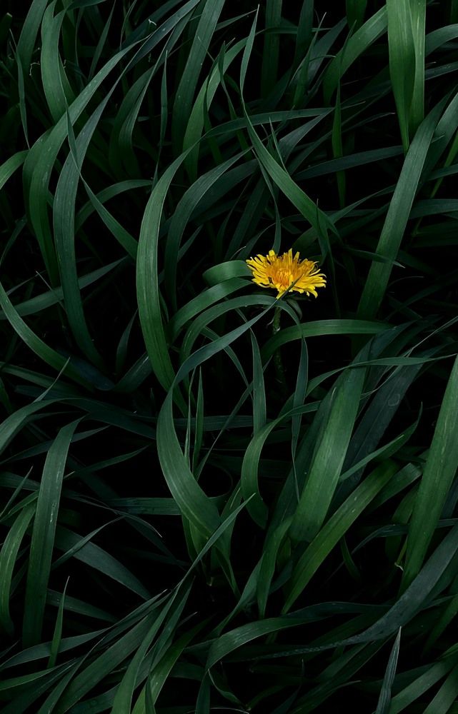 Photograph by Мария Карпычева