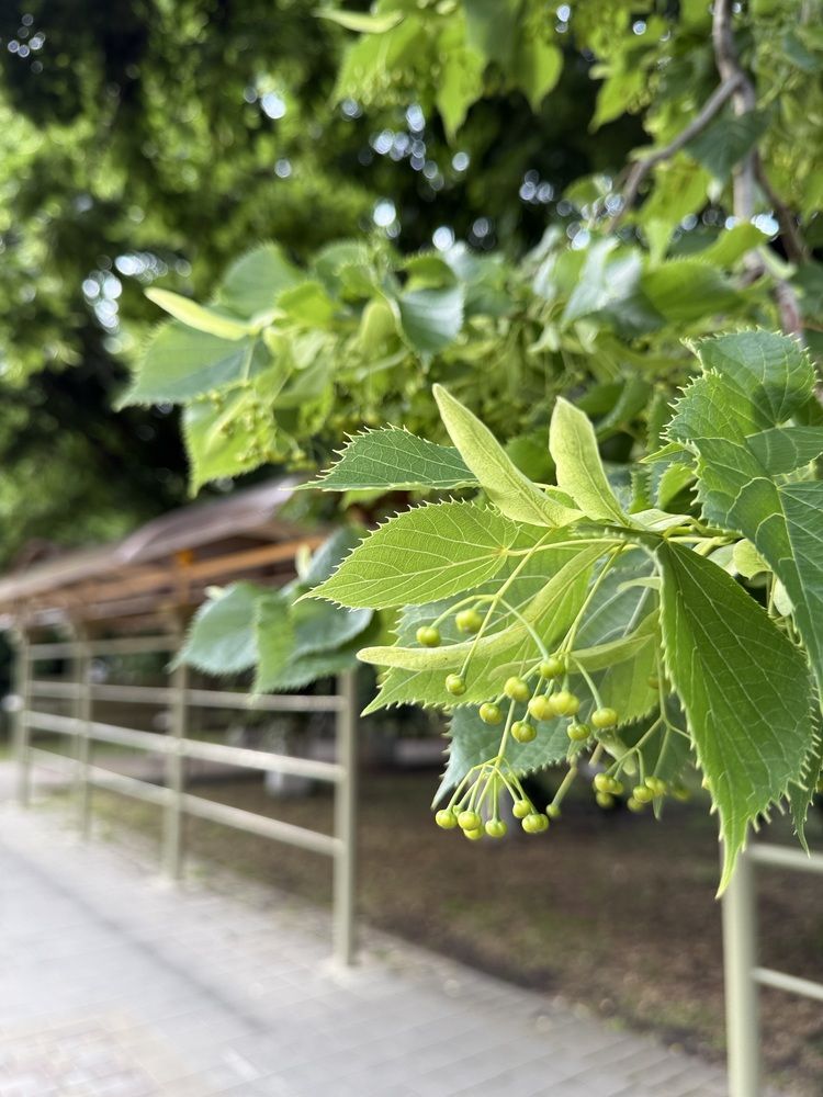 Photograph by Маргарита Лаптева