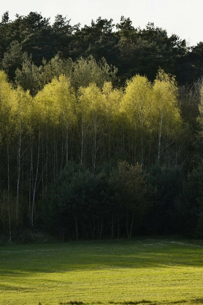 Photograph by Andrea Porro