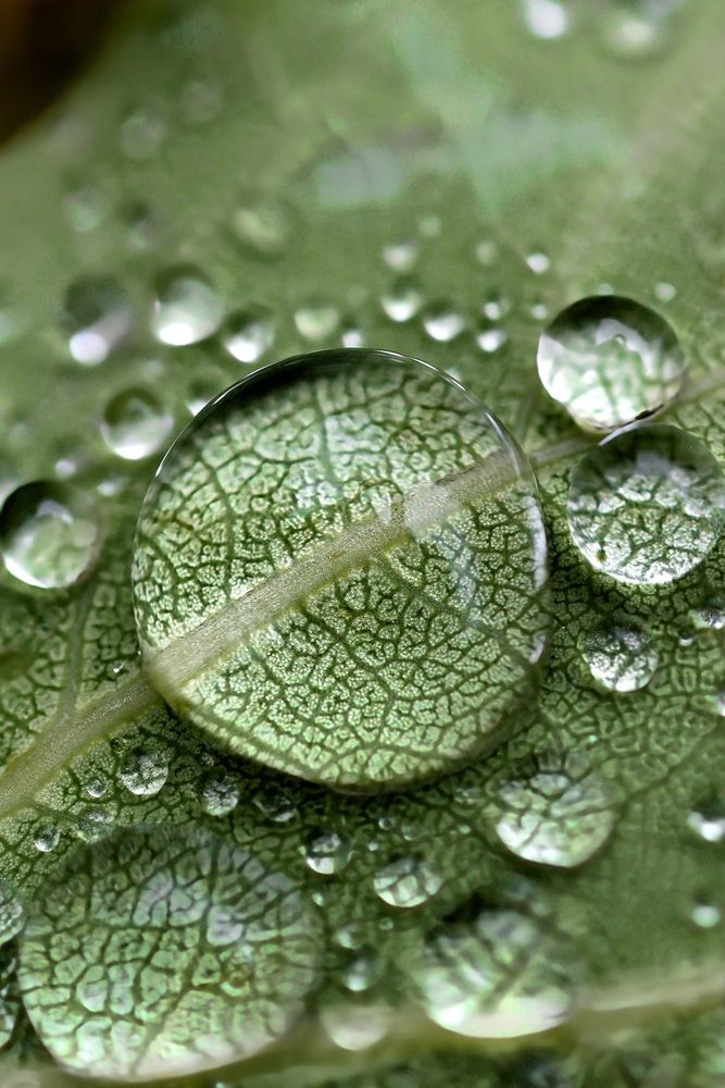 Photograph by Егор Жук