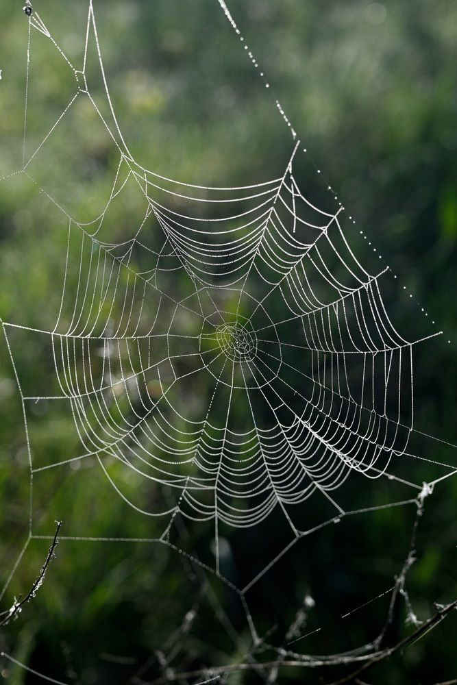 Photograph by Егор Жук