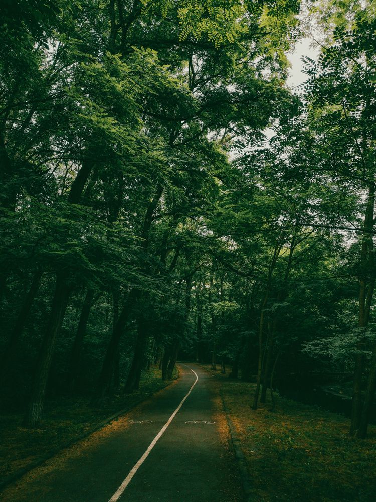 Photograph by Алексей Гуминский