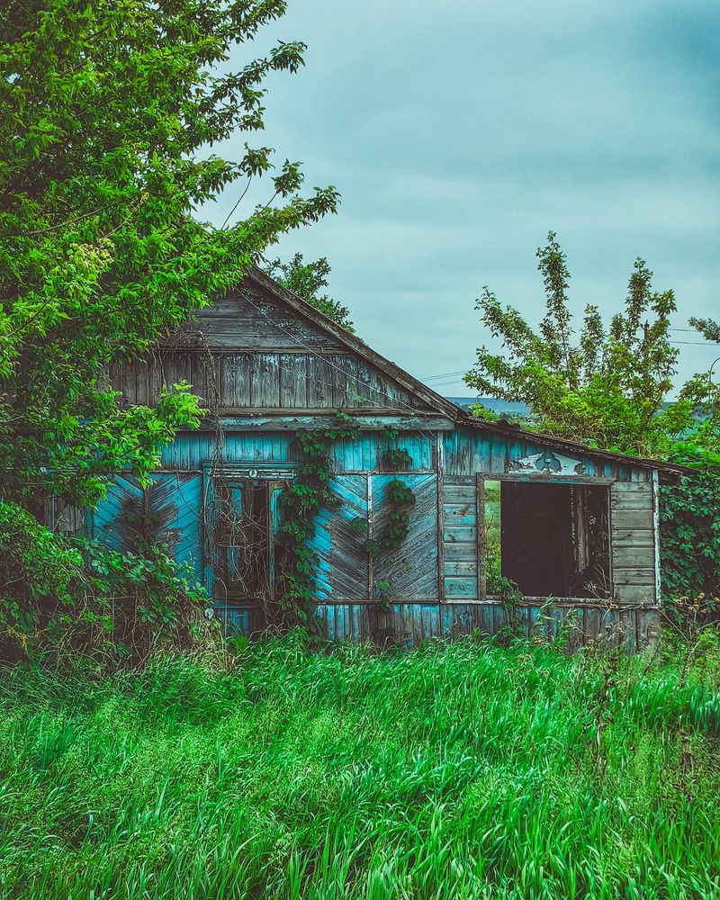Photograph by Алексей Гуминский