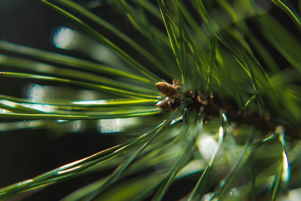 Photograph by Людмила Баймухаметова