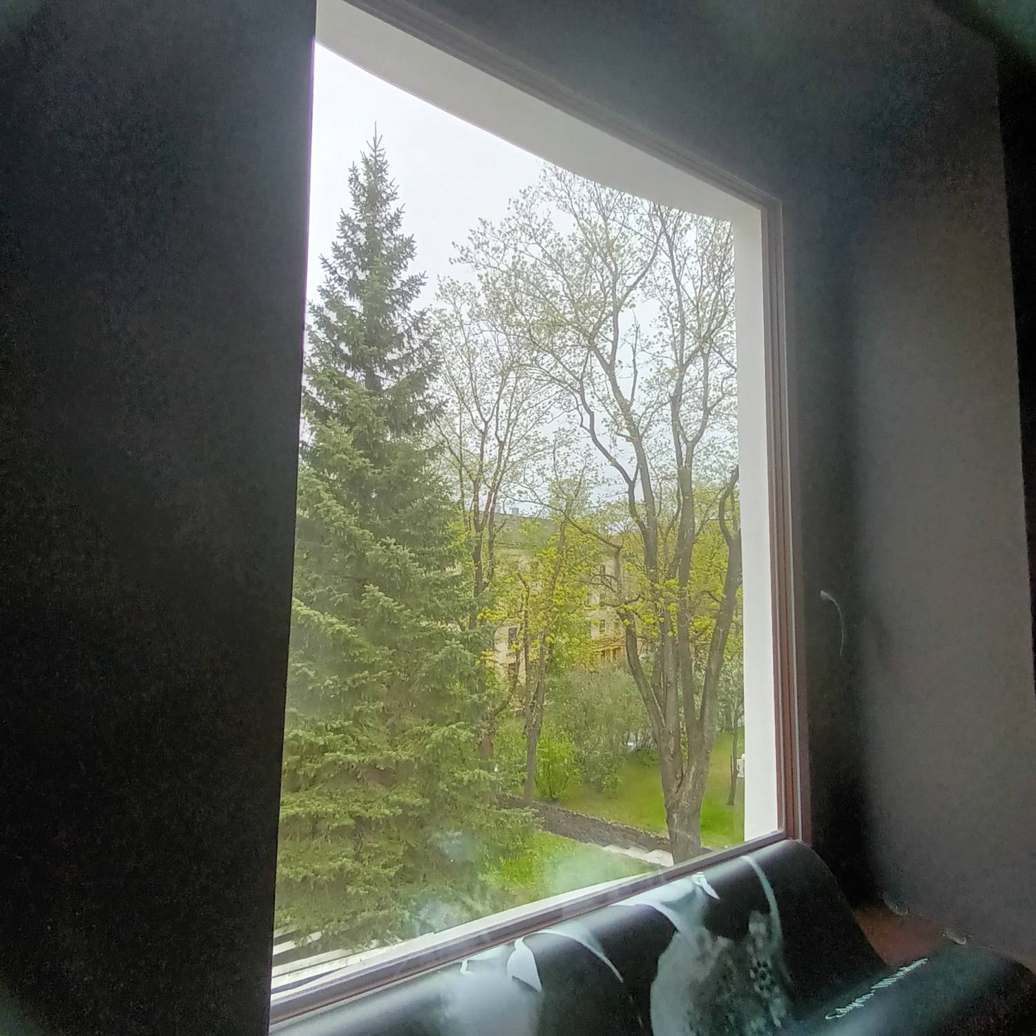 Photo #13598710