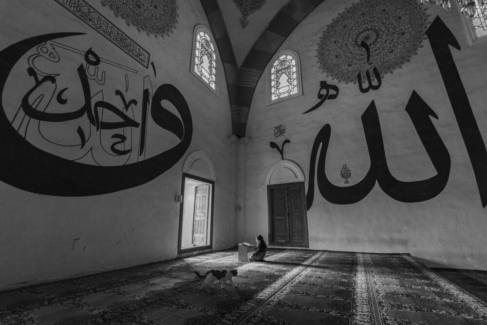 Silent Prostration