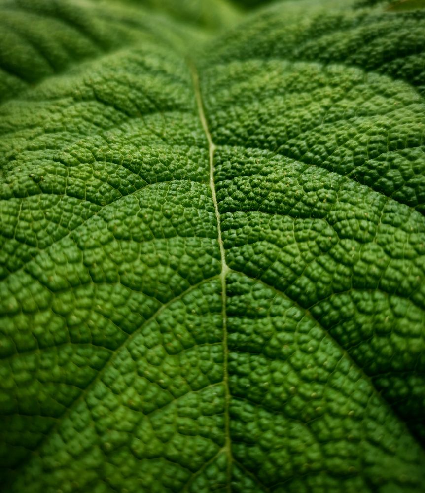 Photograph by Ингрида Кузнецова